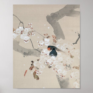 Poster Engolir no Flor de Cereja, Watanabe Seitei