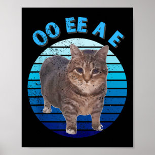 Poster Engraçada Oiia Gato Giro Oi Uiaa