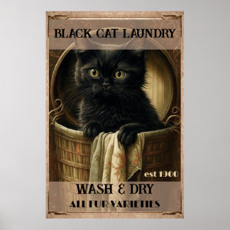 Poster Engraçada roupa de gato preto