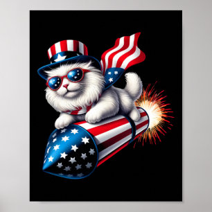 Poster Engraçado 4 De Julho De Foguete Patriótico Com Fog