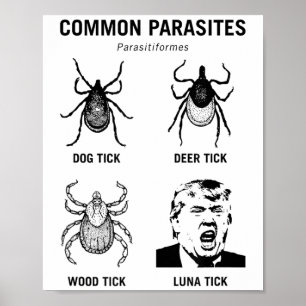 Poster Engraçado Anti-Trump Comum Parasita Luna Tick