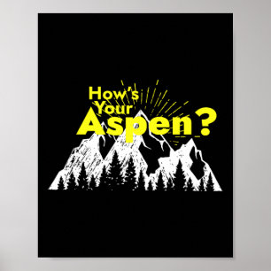 Poster Engraçado Aspen Colorado esquiando como está seu A