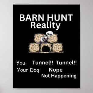 Poster Engraçado Byrn Hunt - A Realidade Do Túnel Não Est
