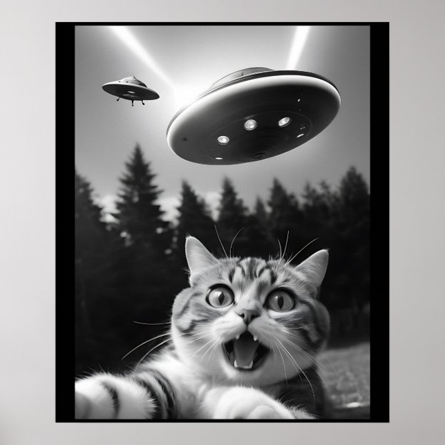 Poster Engraçado Cat Selfie com Alienígena de OVNI (Frente)