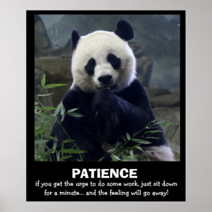 Poster engraçado da panda, PACIÊNCIA
