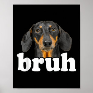 Poster Engraçado Dachshund Meming Dizendo Bruh Funny Dog