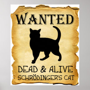 Poster engraçado do gato de Shrodinger