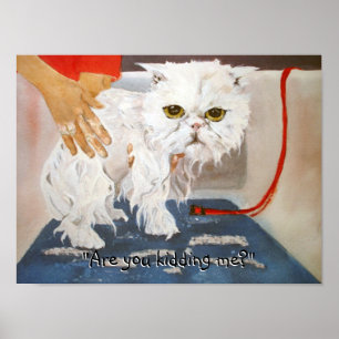 Poster engraçado do humor do banho do gato do