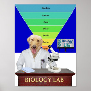 Poster engraçado do laboratório de biologia para