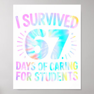 Poster Engraçado Eu Sobrevivi 67 Dias De Enfermeira Da Es