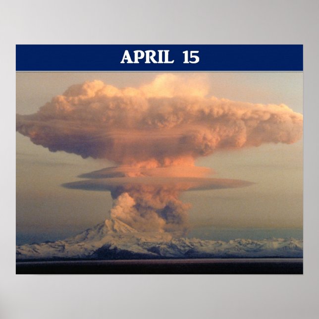 Póster Engraçado Execução do Dia do Imposto Para Cobrir (Frente)