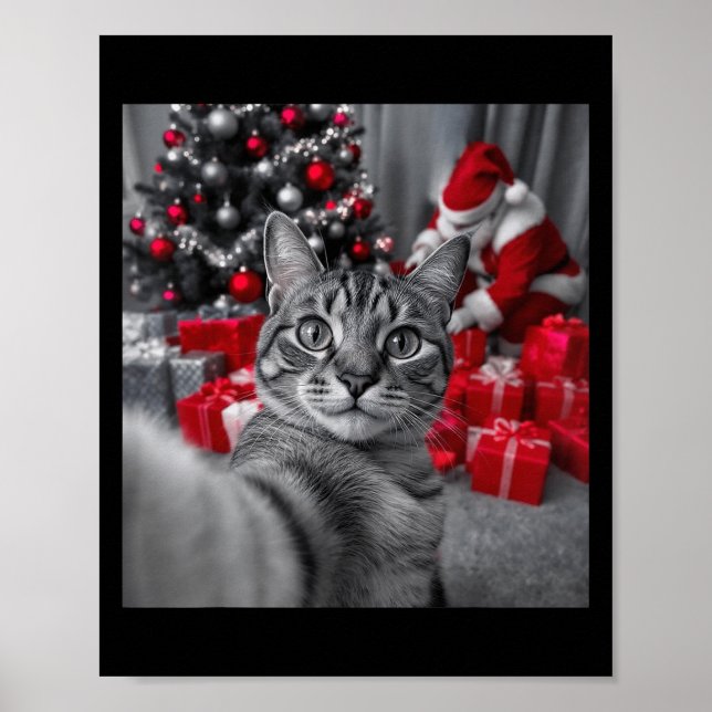 Poster Engraçado Gato Selfie Com Papai Noel Memória de Na (Frente)
