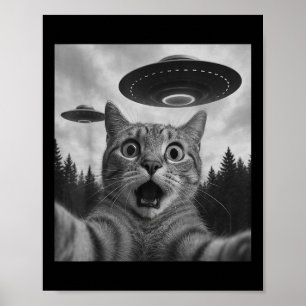 Poster Engraçado Gato Selfie Com Ufos