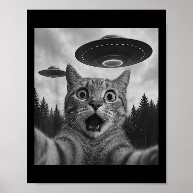 Poster Engraçado Gato Selfie Com Ufos (Frente)