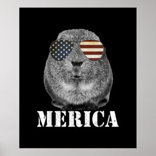 Poster Engraçado Guiné Pig Merica Bandeira Patriótica 
