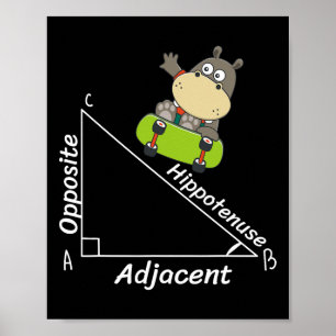 Poster Engraçado Hipo Skater Geometria Hipotenusa Math Bo
