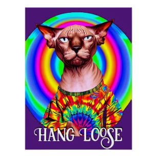 Póster Engraçado Hippie Sphynx Cat