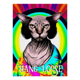 Póster Engraçado Hippie Sphynx Cat