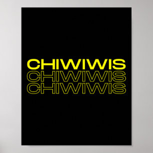 Poster Engraçado Latino Mexicano Chicano Cinco De Mayo Ch
