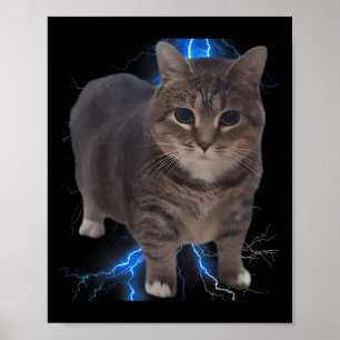 Poster Engraçado Oiia Oiia Girando Gato Memória Cat Brain