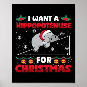 Poster Engraçado Professor de Matemática de Natal Hippopo