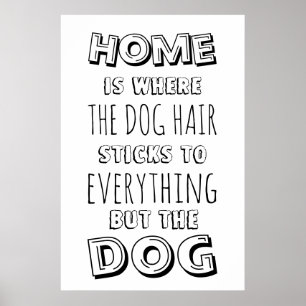 Poster Engraçado Quitação de Cabelo de Cão
