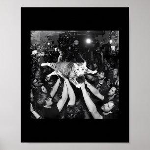 Poster Engraçado Rock Show Cat Memte Tabuleiro Bonito De