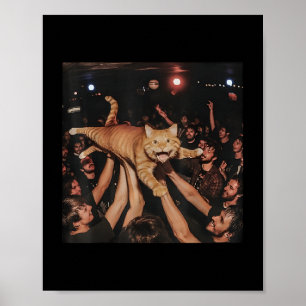 Poster Engraçado Rock Show Cat Memte Tabuleiro Bonito De 