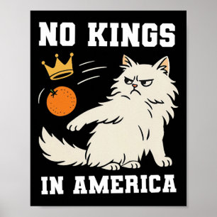 Poster Engraçado Sem Reis Na América