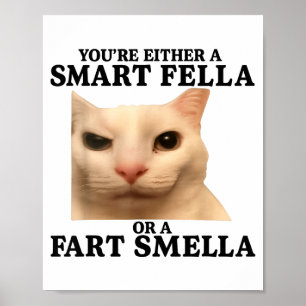 Poster Engraçado Você é Ou Um Cara Esperto Ou Um Cheirado