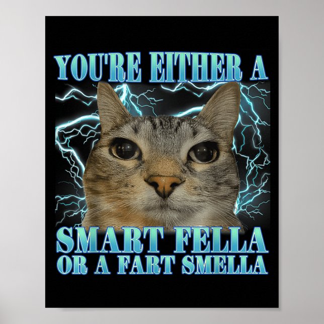 Poster Engraçado Você é Ou Um Cara Inteligente Ou Um Chei (Frente)
