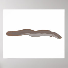 Poster Enguia Atalhante do Sul