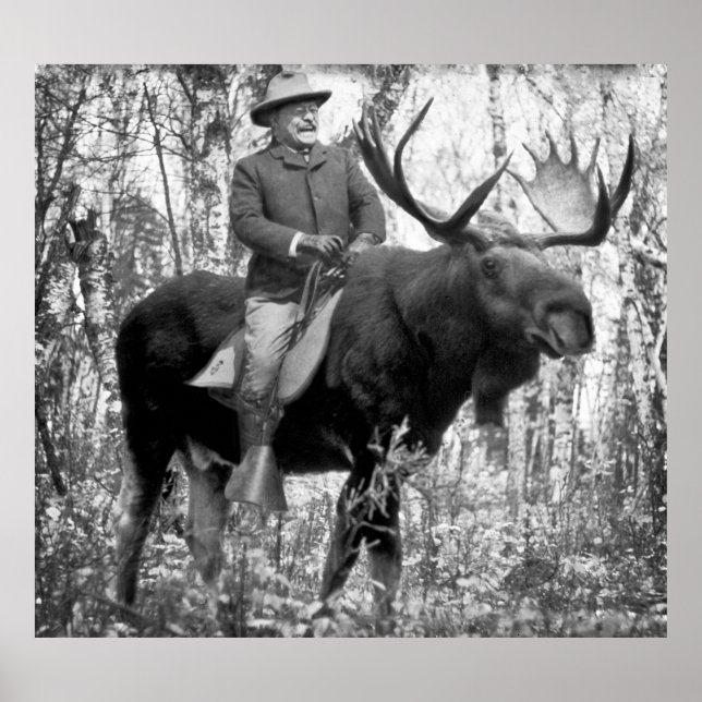 Póster Enorme Roosevelt Ursinho Andando Um Moose Bull (Frente)