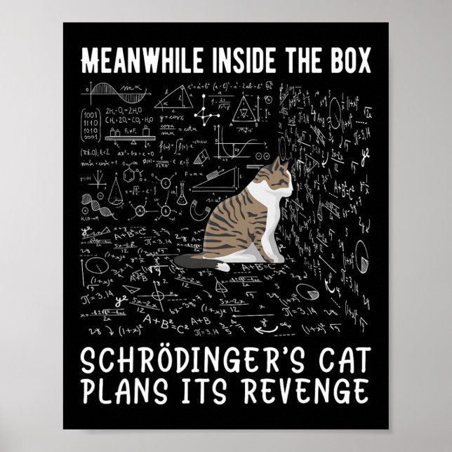 Poster Enquanto Isso, Dentro da caixa Schrödingers Cat Pl (Frente)
