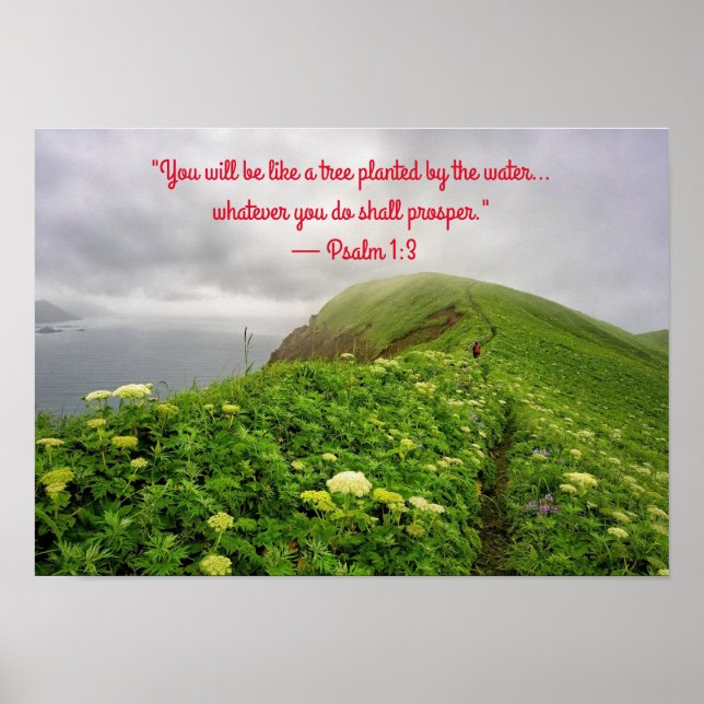 Poster Enraizados em Bênçãos (Frente)