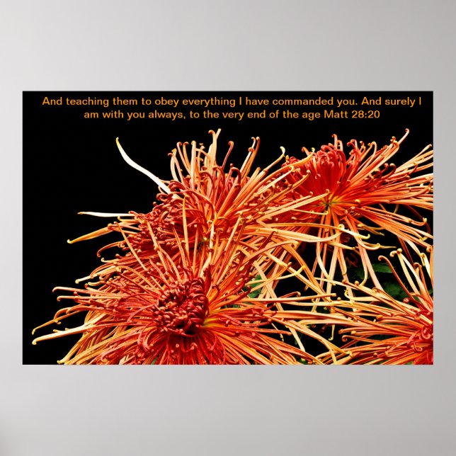 Poster Ensinando-os a obedecer a tudo o que eu ordenei (Frente)