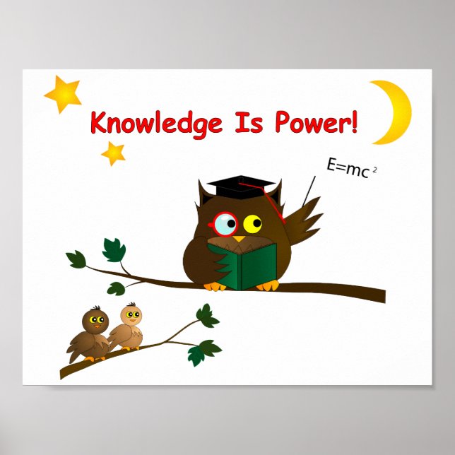 Poster Ensinando Wise Owl (Frente)