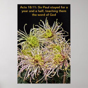 Póster Então Paul ficou por um ano e meio