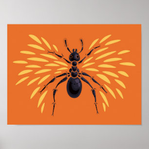 Póster Entomologia alaranjada impetuosa voada do amante