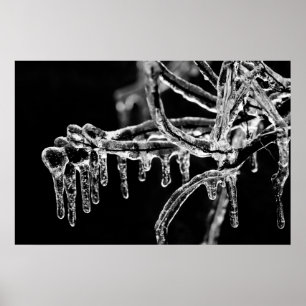 Póster entrar no inverno gelado