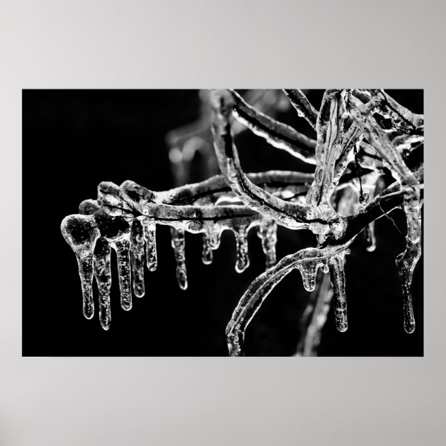 Póster entrar no inverno gelado (Frente)