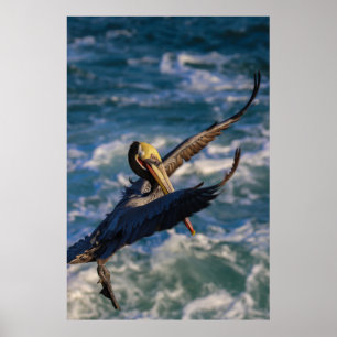 Poster Entrar para uma aterragem