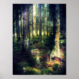 Poster Entre As Fadas