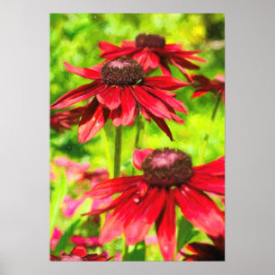 Poster Entre As Flores