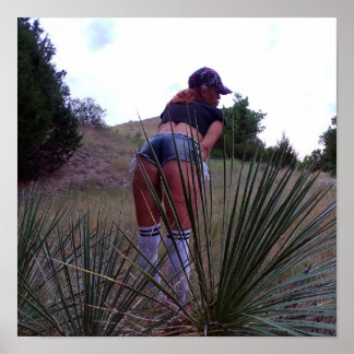 Poster Entre As Plantas De Yucca