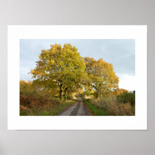 Poster Entre os Oaks: Rural Cheshire