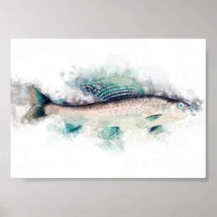 Poster Entusiastas da pesca da arte aquática cinzenta do
