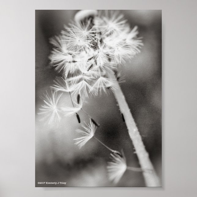 Póster Enviando Desejos (Frente)