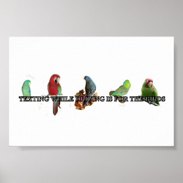 Póster Enviando mensagens de texto durante a condução de  (Frente)