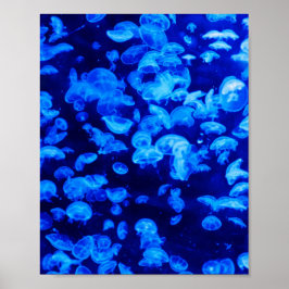 Poster Enxame de medusa